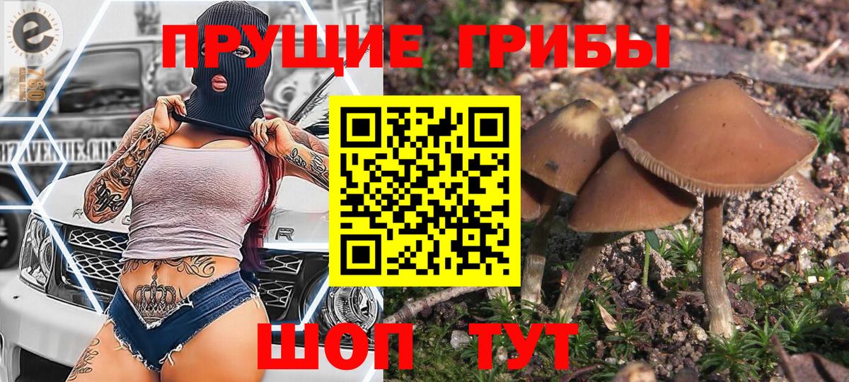 Псилоцибиновые грибы мицелий Лобня